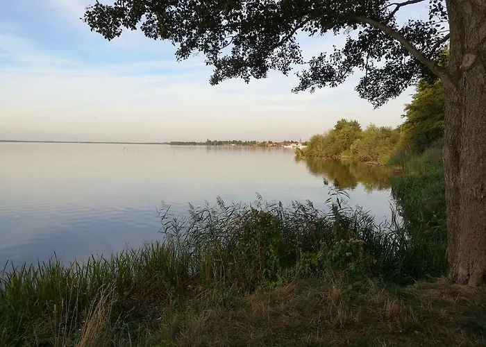 度假居 Struckmann Am Steinhuder